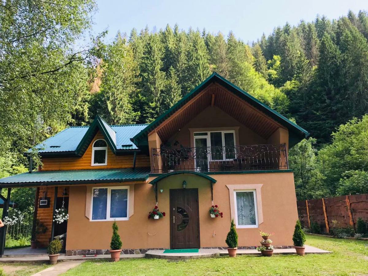 Садиба У Брусків Mizhhirya  Exterior photo